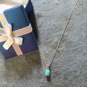 Sleeping Beauty Turquoise & Chrome Diopside Platinum Plated Necklace